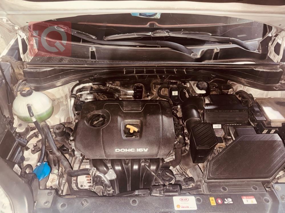 کیا سپۆرتاج